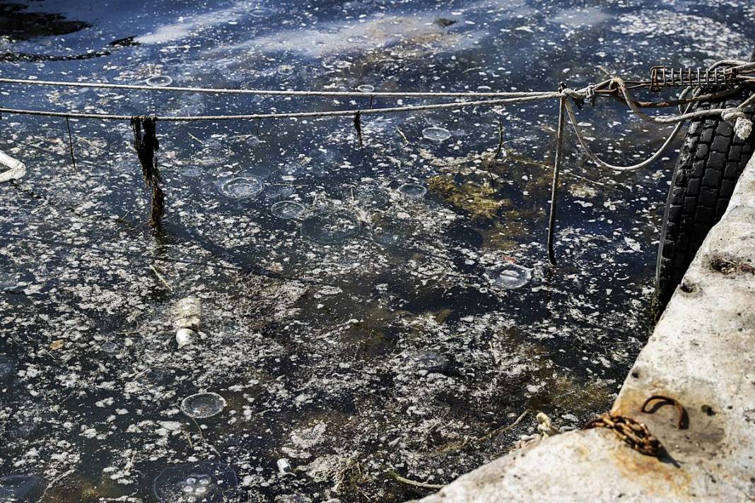 İstanbul'un o sahilinde yürüyüş yapanlar gözlerine inanamadı! Bitti denmişti, meğer yeniden başlıyormuş 8